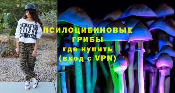 стафф Пересвет