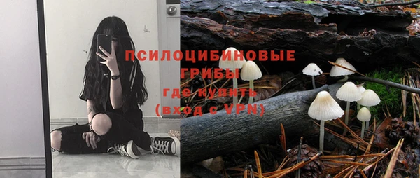 стафф Пересвет