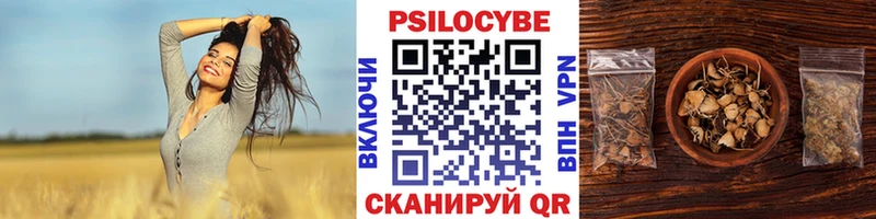 Галлюциногенные грибы прущие грибы  Старый Крым 